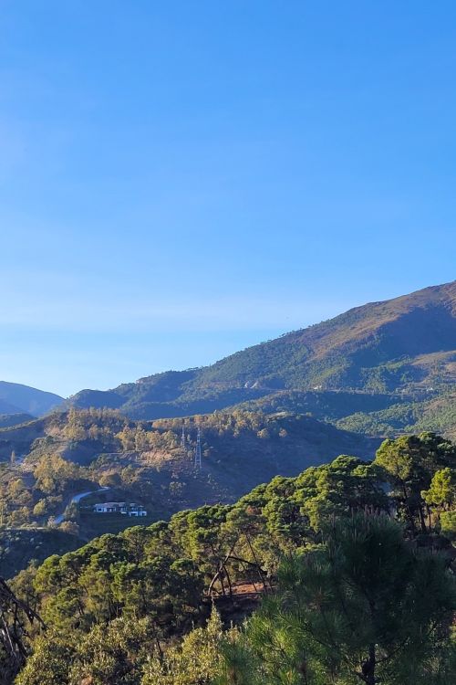 Perceel te koop in La Zagaleta, Benahavis