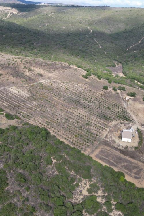 Perceel te koop in Manilva