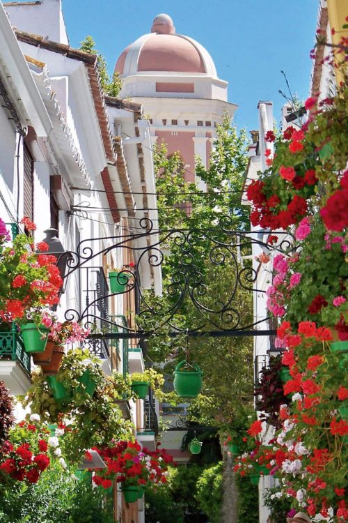 Restaurant te koop in Estepona Old Town, Estepona Stad