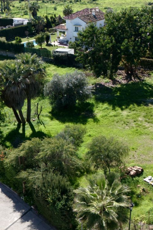 Perceel te koop in Guadalmina Alta, San Pedro de Alcantara