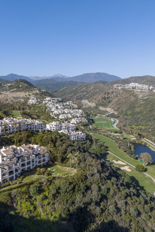 Duplex Penthouse in Altos De La Quinta