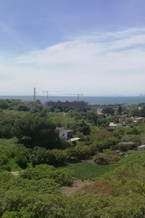Exclusiva finca en Reinoso, Estepona