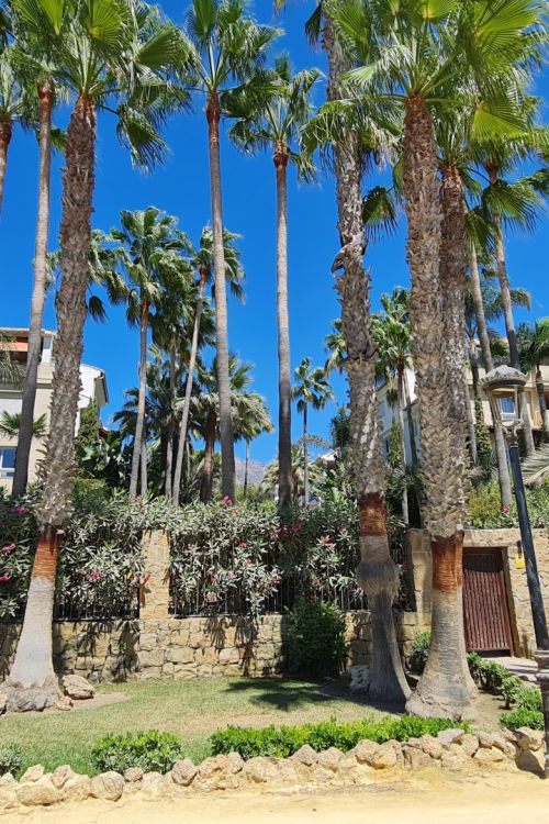 Luxury Beachfront Apartment in Las Cañas Beach, Marbella Golden Mile