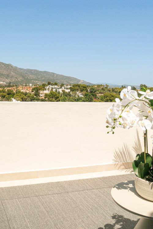 Boutique Penthouse in Las Lolas, Nueva Andalucía