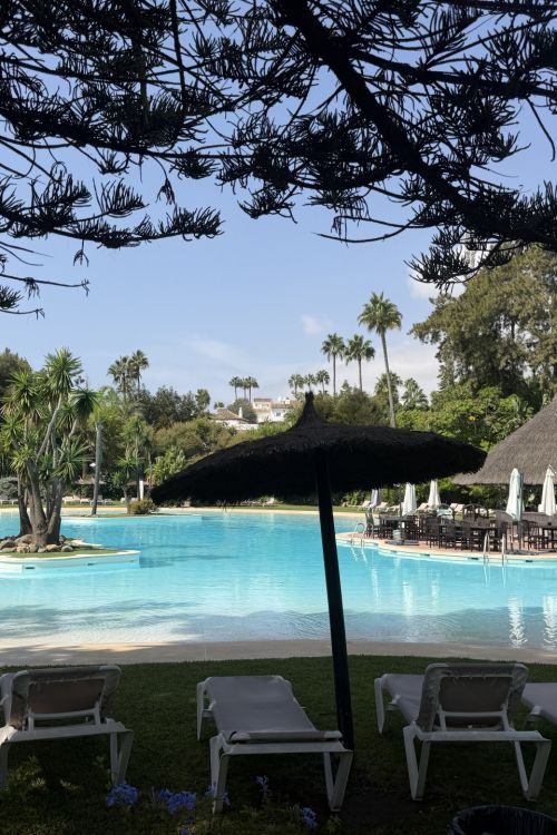 Lovely apartment with tropical garden views, mid-floor, two bedrooms to renovate in Alhambra del Golf, Guadalmina Baja