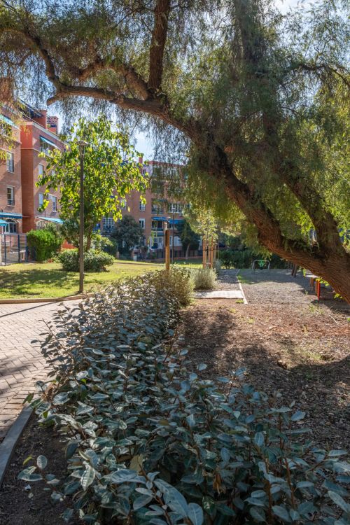 Magnificent, renovated 4-bedroom duplex with a spacious terrace, views of gardens, a swimming pool, and a garage in Cerrado de Calderón.